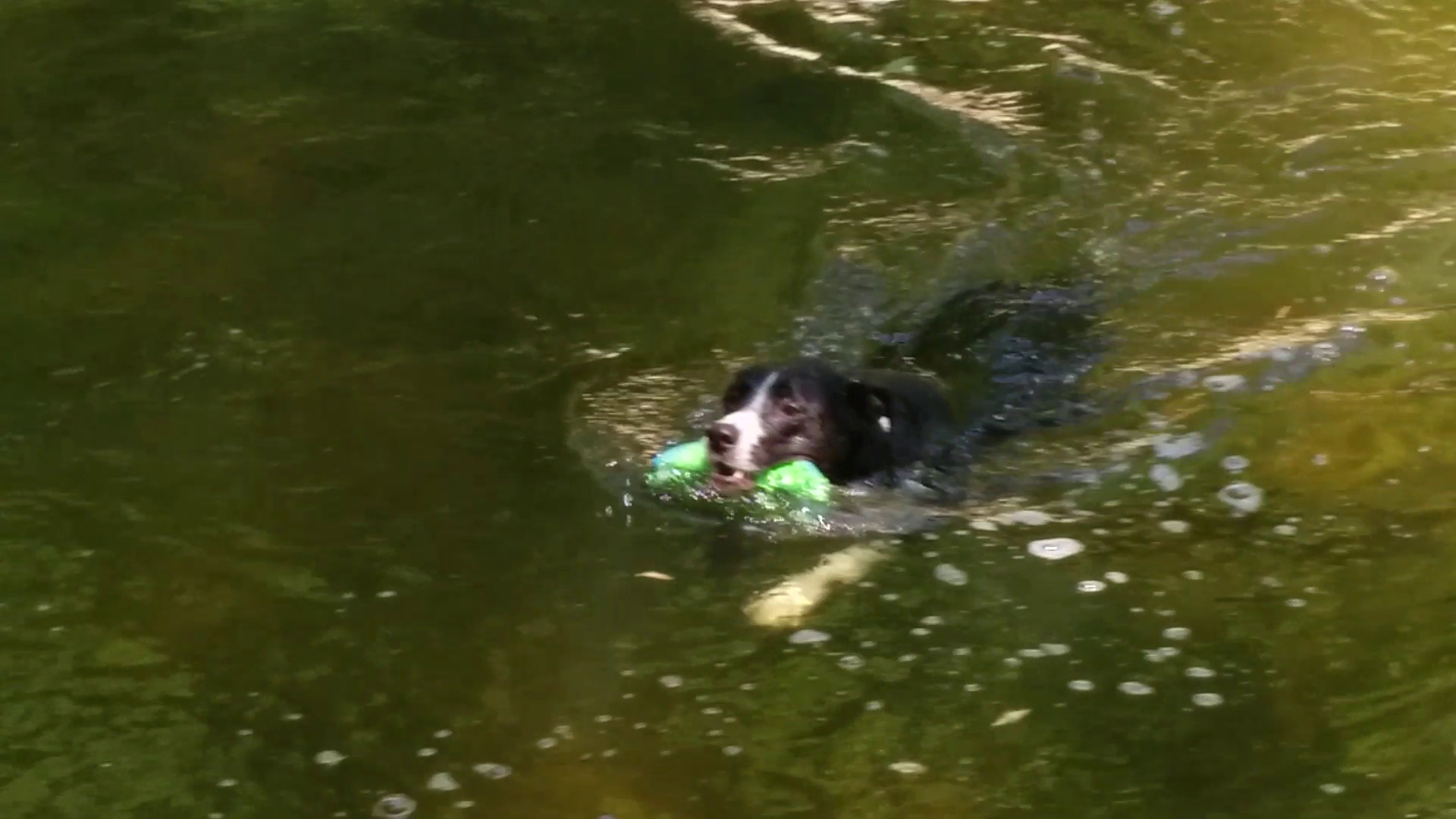 Water Retrieval